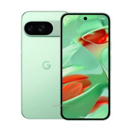 Google Pixel 9 128gb Wintergreen